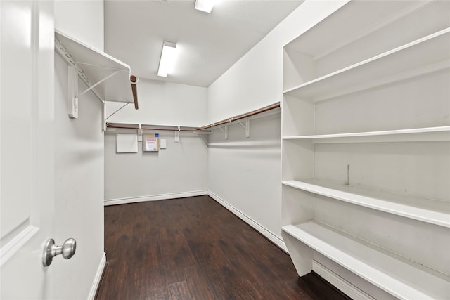 6 Volerran Path Ln, Missouri City, TX 77459 - walk in closet with dark wood-style floors