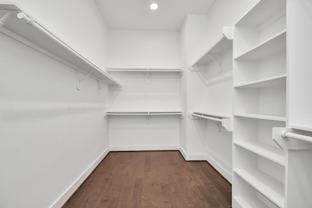849 Mansfield St Unit F, Houston, TX 77091 - walk in closet with dark wood-style flooring