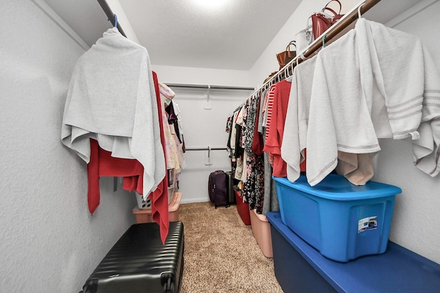 18510 Snowy River Ln, Katy, TX 77084 - walk in closet featuring carpet