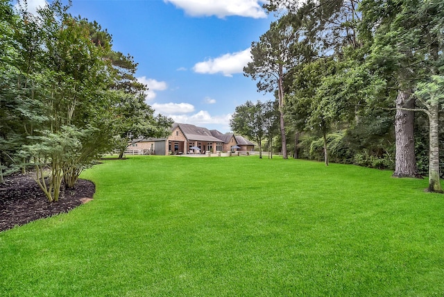 22414 Meadowhurst Cir W, Tomball, TX 77377 - view of green lawn