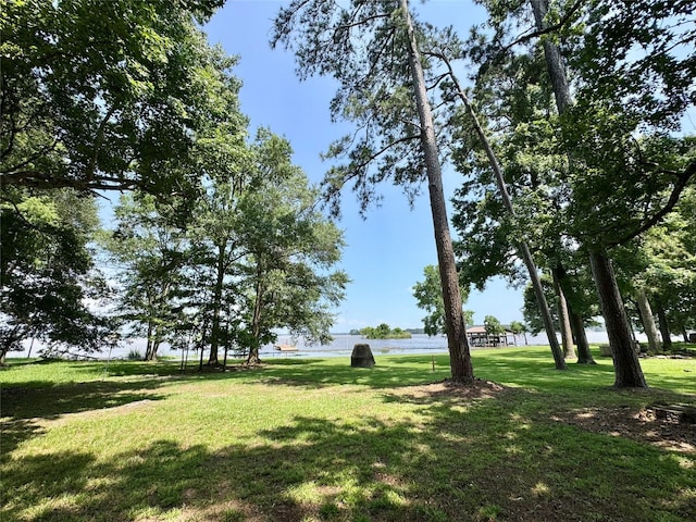 86 Huntington, Trinity, TX 75862 - view of green lawn featuring a water view