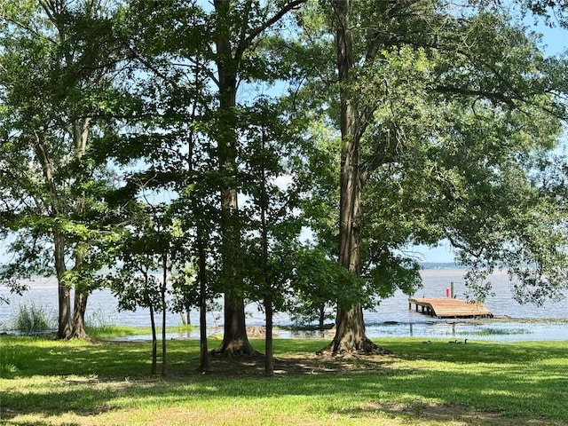 86 Huntington, Trinity, TX 75862 - view of green lawn featuring a boat dock and a water view
