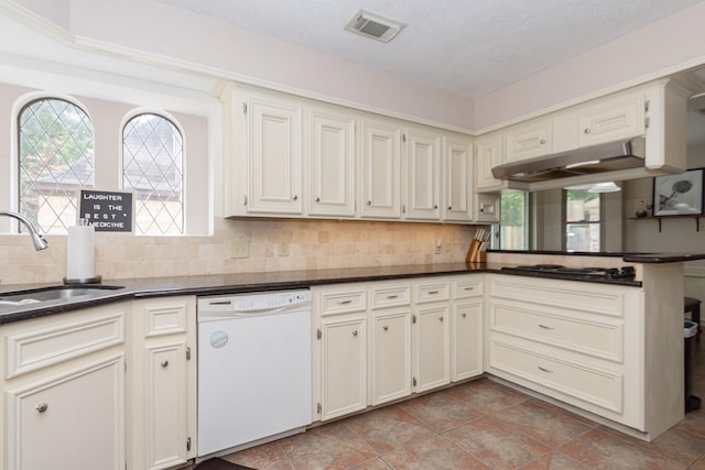 12210 Rocky Lake Ct, Houston, TX 77070 - kitchen featuring dishwasher, a sink, under cabinet range hood, black gas cooktop, and decorative backsplash
