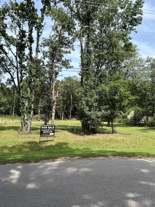 13893 Park Ave, Conroe, TX 77384 - photo 3