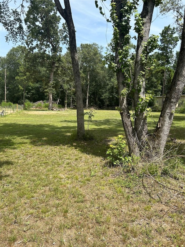 13893 Park Ave, Conroe, TX 77384 - photo 5