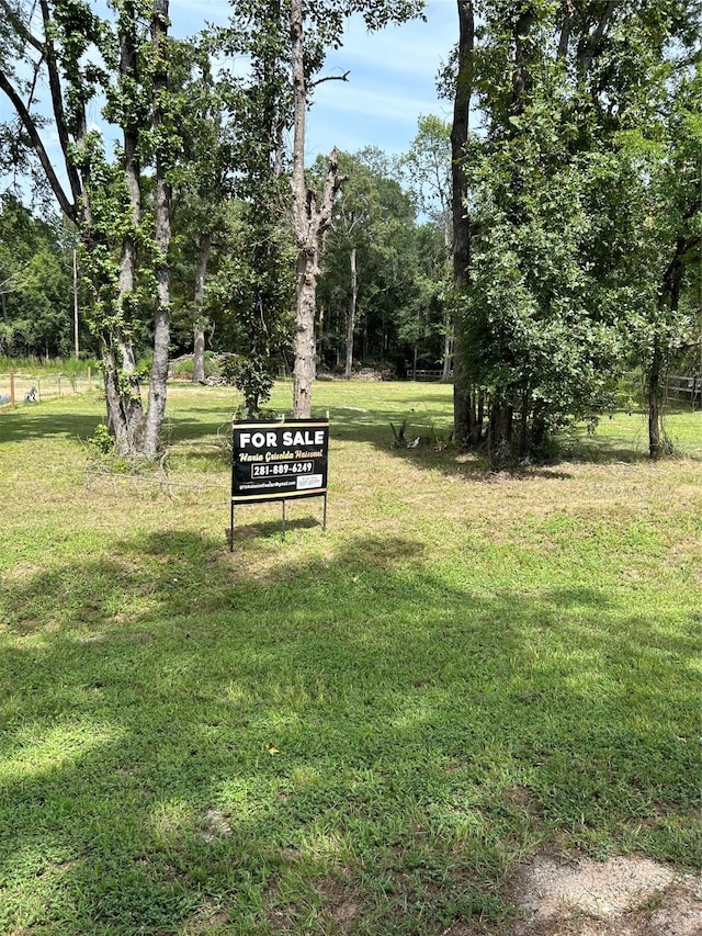 13893 Park Ave, Conroe, TX 77384 - photo 7