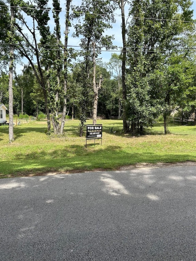 13893 Park Ave, Conroe, TX 77384 - photo 10