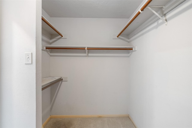 14515 Redbud Valley Trl, Houston, TX 77062 - walk in closet with carpet