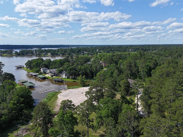 TBD Pine Grove, Livingston, TX 77351 - photo 3