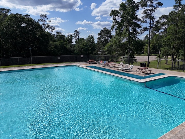 TBD Pine Grove, Livingston, TX 77351 - photo 4