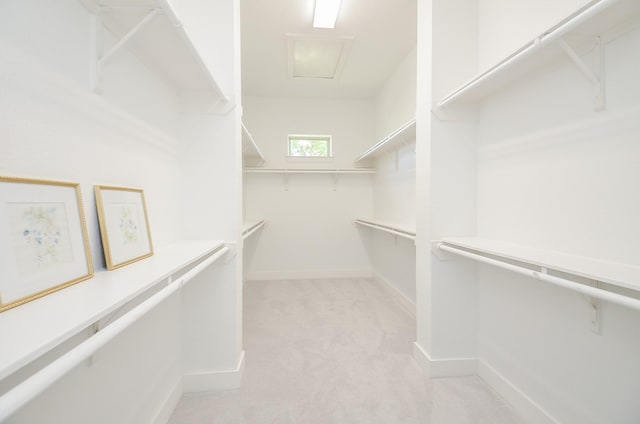 810 Sunbeam Creek Ct, Richmond, TX 77406 - spacious closet with light carpet and attic access