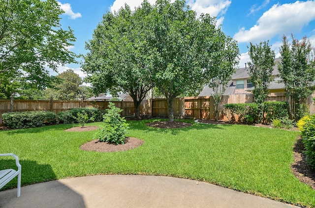 5703 Bent Arbor Ln, Katy, TX 77450 - view of yard with a patio