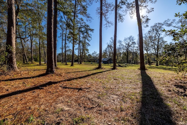 2175 Fm 1725th Rd, Cleveland, TX 77328 - view of green lawn
