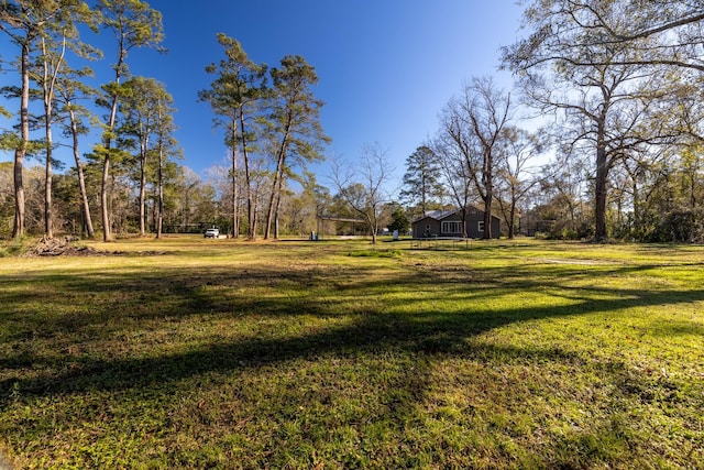 2175 Fm 1725th Rd, Cleveland, TX 77328 - view of green lawn