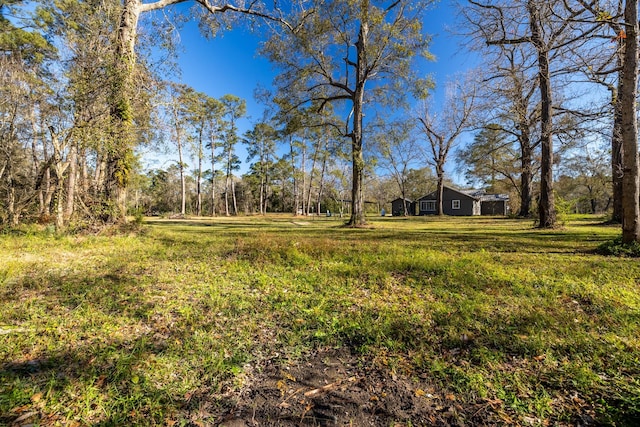 2175 Fm 1725th Rd, Cleveland, TX 77328 - view of yard