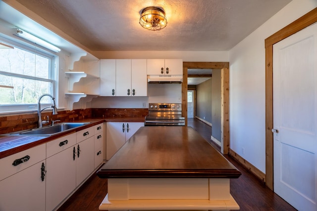 2175 Fm 1725th Rd, Cleveland, TX 77328 - kitchen featuring stainless steel electric range oven, under cabinet range hood, a sink, open shelves, and white cabinetry