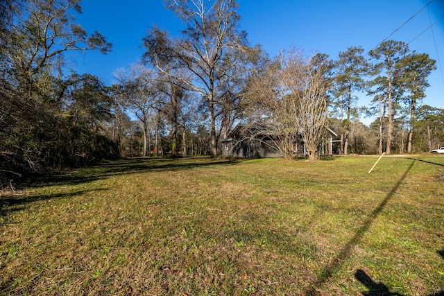 2175 Fm 1725th Rd, Cleveland, TX 77328 - view of green lawn
