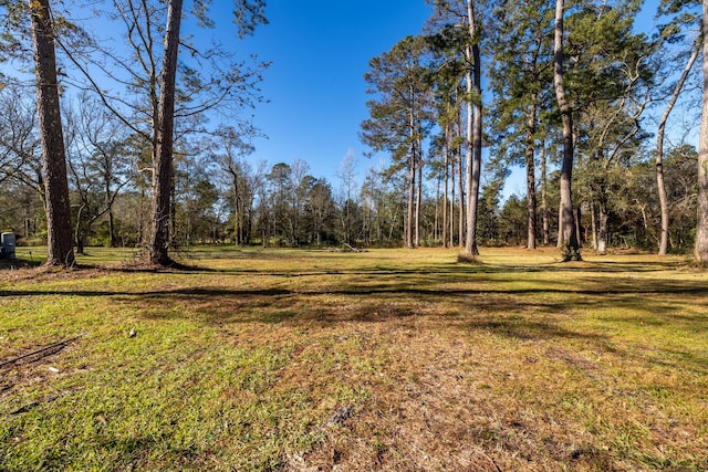 2175 Fm 1725th Rd, Cleveland, TX 77328 - view of green lawn