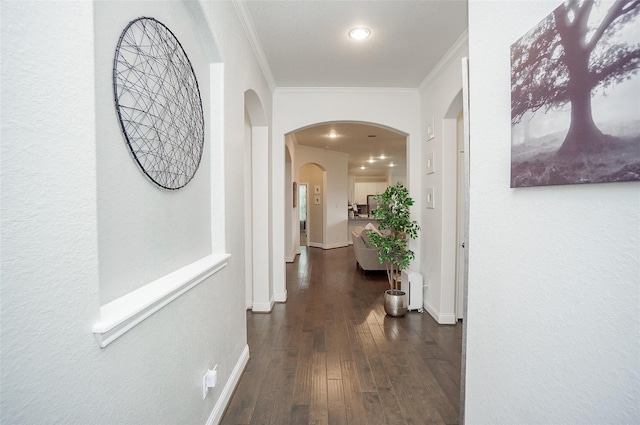 18711 Big Elm Dr, Cypress, TX 77433 - hallway with ornamental molding, dark wood-type flooring, baseboards, arched walkways, and recessed lighting