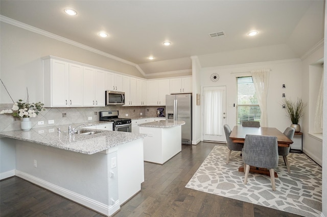 18711 Big Elm Dr, Cypress, TX 77433 - kitchen with stainless steel appliances, a sink, white cabinetry, a peninsula, and ornamental molding