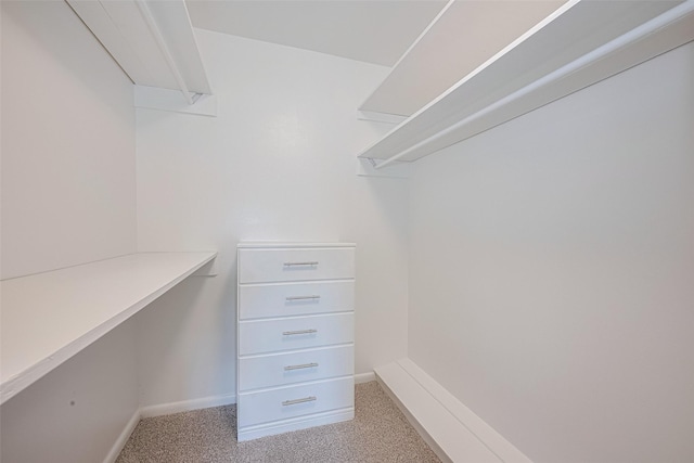 1316 Courtney St, Richmond, TX 77469 - spacious closet with light carpet