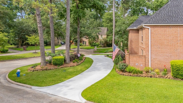 3911 Misty Gardens Ct, Kingwood, TX 77339 - view of property's community featuring curved driveway, a yard, and view of wooded area