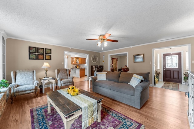 23826 Farm Hill Rd, Spring, TX 77373 - living area with a textured ceiling, ceiling fan, light wood finished floors, and crown molding
