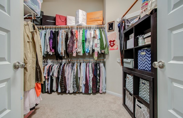 4419 Rolling Field Ln, Sugar Land, TX 77479 - walk in closet featuring carpet flooring