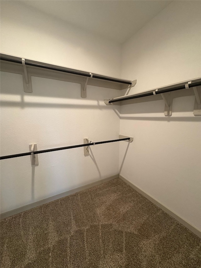 29506 Wilkerson Ln, Katy, TX 77494 - walk in closet with carpet flooring