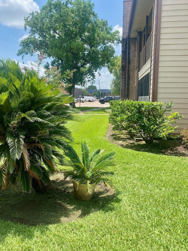 9000 Bissonnet St Unit 707, Houston, TX 77074 - view of green lawn