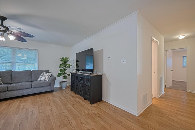 4210 Mona Lee Ln, Houston, TX 77080 - living room featuring a ceiling fan, light wood finished floors, and plenty of natural light