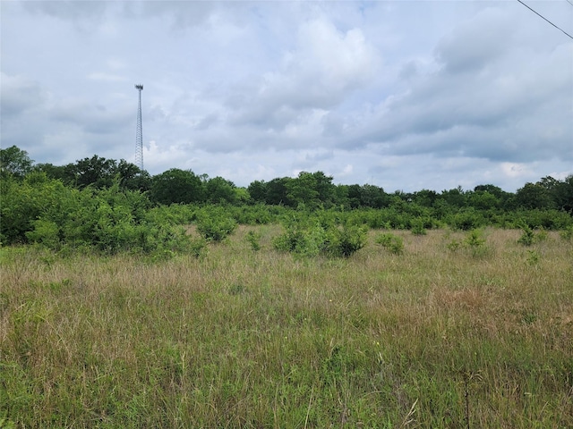5080 State Highway 30 W, Huntsville, TX 77340 - photo 3