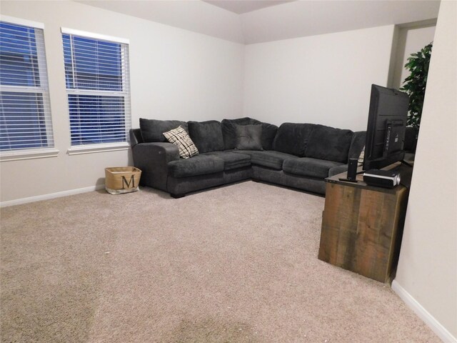 14827 Fairy Tern Ln, Houston, TX 77049 - living area with carpet floors and baseboards