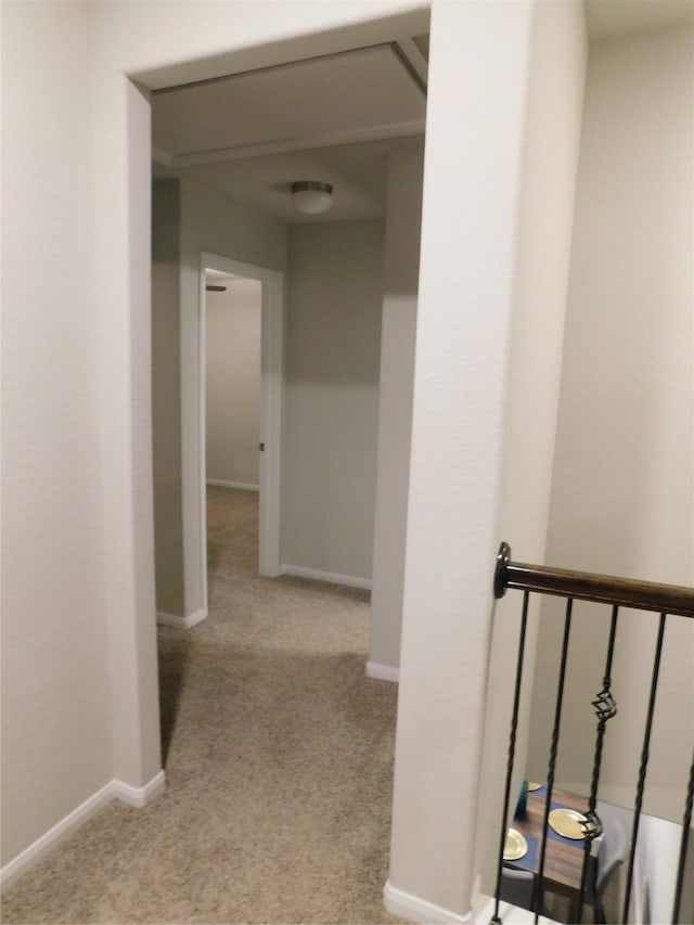 14827 Fairy Tern Ln, Houston, TX 77049 - hall featuring carpet floors and baseboards