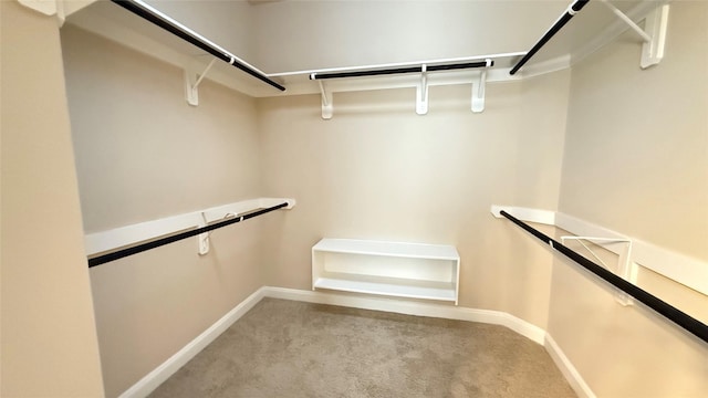 3021 Rocky Point Dr, Pearland, TX 77584 - spacious closet with carpet