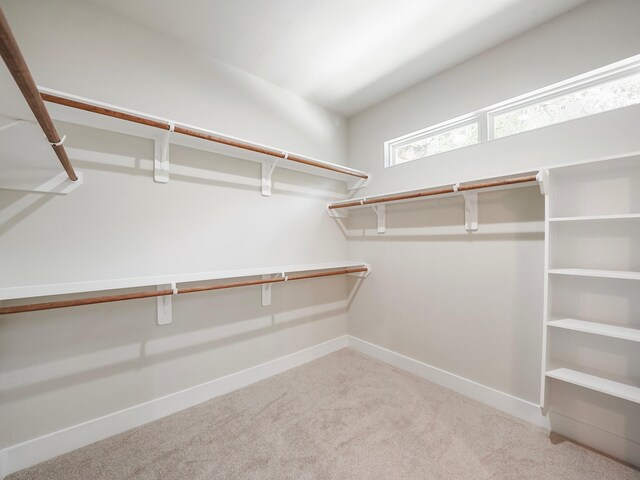 731 Magnolia Point Dr, Houston, TX 77336 - walk in closet featuring carpet flooring