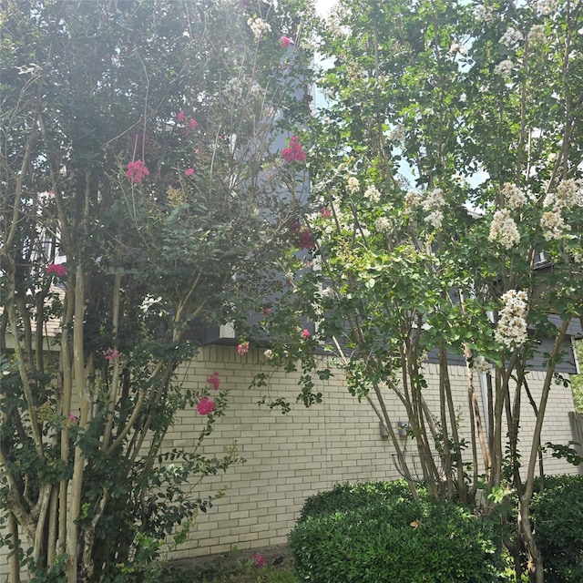 3306 S Greenpark Dr, Houston, TX 77082 - view of side of property with brick siding