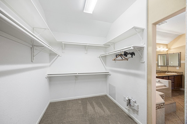 26019 Pagemill Ln, Richmond, TX 77406 - spacious closet featuring a sink