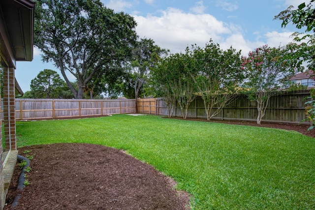 1313 Mcdonald St, Deer Park, TX 77536 - view of yard
