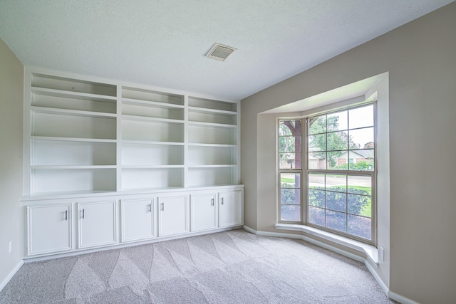 1313 Mcdonald St, Deer Park, TX 77536 - spare room with baseboards, carpet flooring, a textured ceiling, and built in shelves