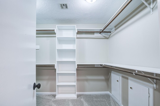 1313 Mcdonald St, Deer Park, TX 77536 - spacious closet with carpet floors