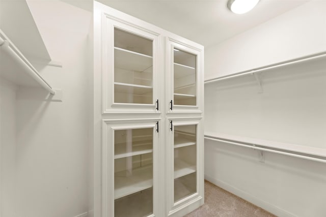 12203 Ashley Circle Dr E, Houston, TX 77071 - walk in closet with carpet flooring