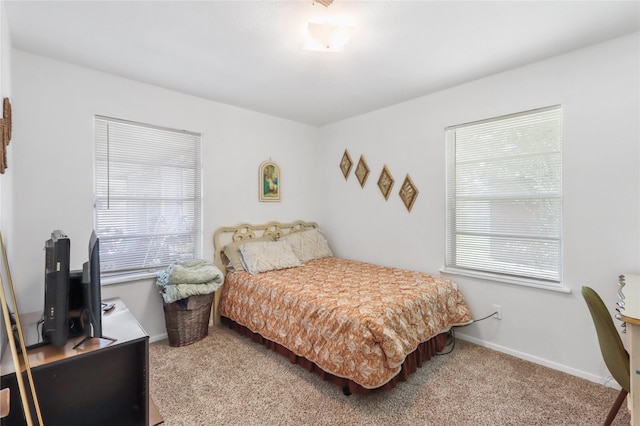 1205 Dunstan Rd, Pasadena, TX 77502 - bedroom with carpet flooring and baseboards