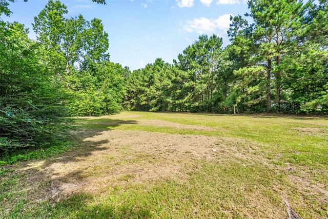 7650 US Highway 69 S, Woodville, TX 75979 - view of grassy yard with a wooded view