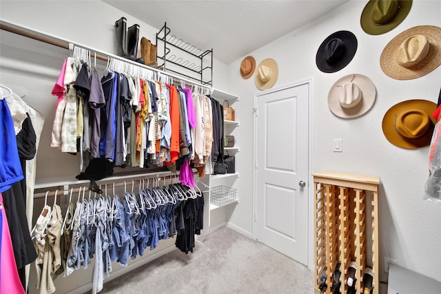 2331 Hagerman Rd, Conroe, TX 77384 - spacious closet with carpet