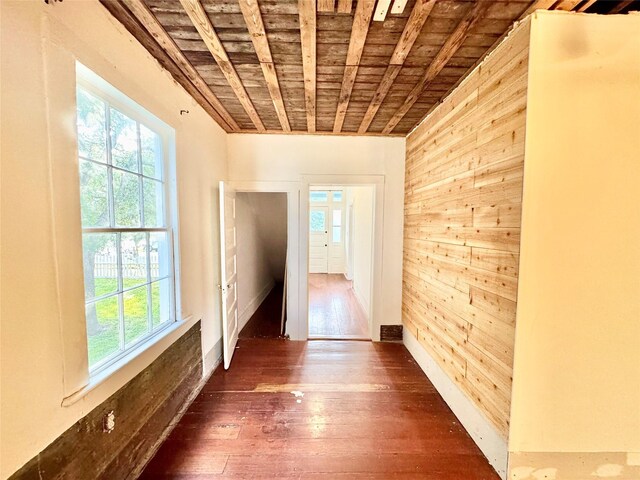 1317 Church St, Galveston, TX 77550 - corridor with wood walls, wooden ceiling, and hardwood / wood-style floors