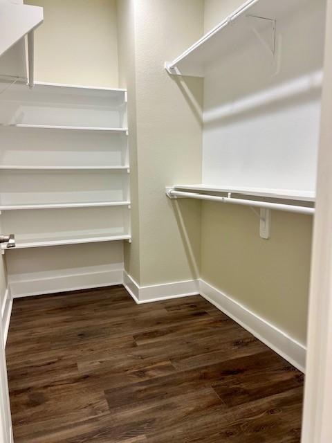 10516 Exeter St, Houston, TX 77093 - spacious closet with dark wood finished floors