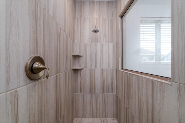 7822 Taronga Ln, Richmond, TX 77407 - bathroom featuring tiled shower