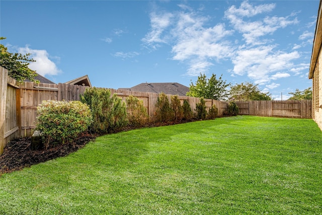 7822 Taronga Ln, Richmond, TX 77407 - view of yard