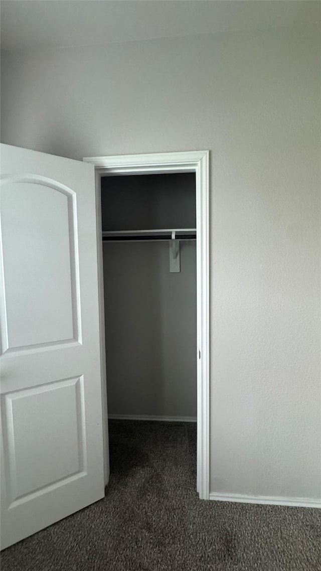 13909 Payette Arbor Ct, Conroe, TX 77384 - view of closet